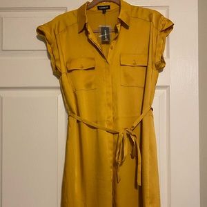 Express Button down Silk Dress
